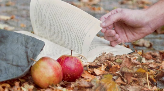 Bok med äpple vid sidan av. Fotografi