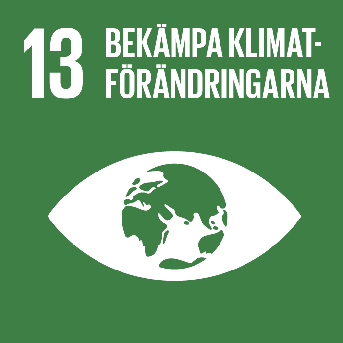 FN:s globala mål 13. Illustration som föreställer ett öga med jordklotet som pupill. Vit grafik på grön bakgrund.