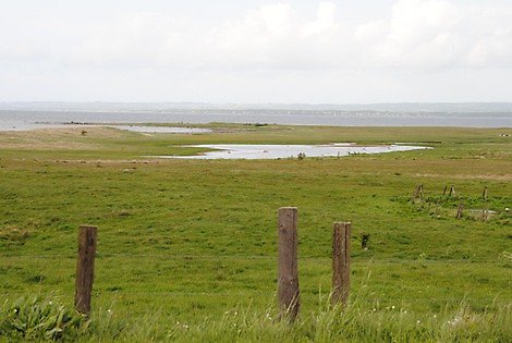 Halvön Rönnen ligger vid Häljaröd och ingår i naturreservatet Jonstorp-Vegeåns mynning. Rönnen är ett fågelreservat med beträdnadsförbud året om. 