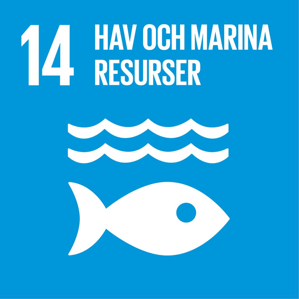 FN:s globala mål 14. Illustration som föreställer en fisk under vattenytan. Vit grafik på blå bakgrund.