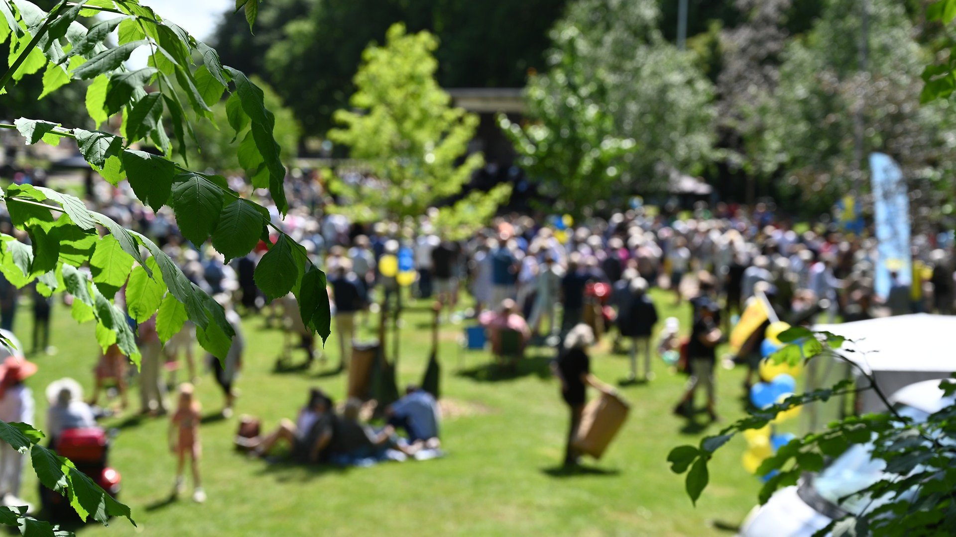 En stor grupp människor på nationaldagsfirande i tivoliparken.